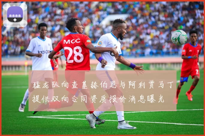 猛龙队向查基赫伯恩与阿利贾马丁提供双向合同资质报价消息曝光